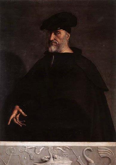 Sebastiano del Piombo Portrait of Andrea Doria Sweden oil painting art